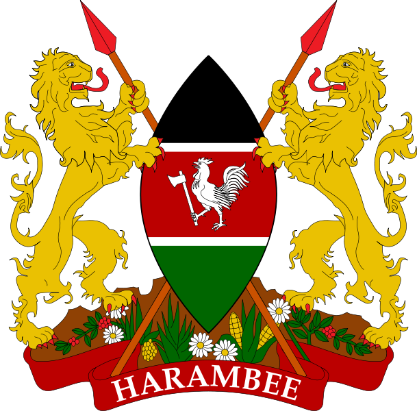 Best Price IPTV Service in Kenya